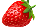 媒体工具丨草莓音乐播放器 Strawberry Music Player 1.0.22 Windows 版